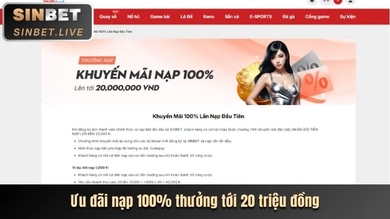 Minh họa Quản lý Cookie